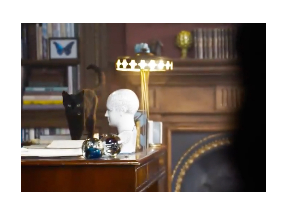 black cat from the matrix