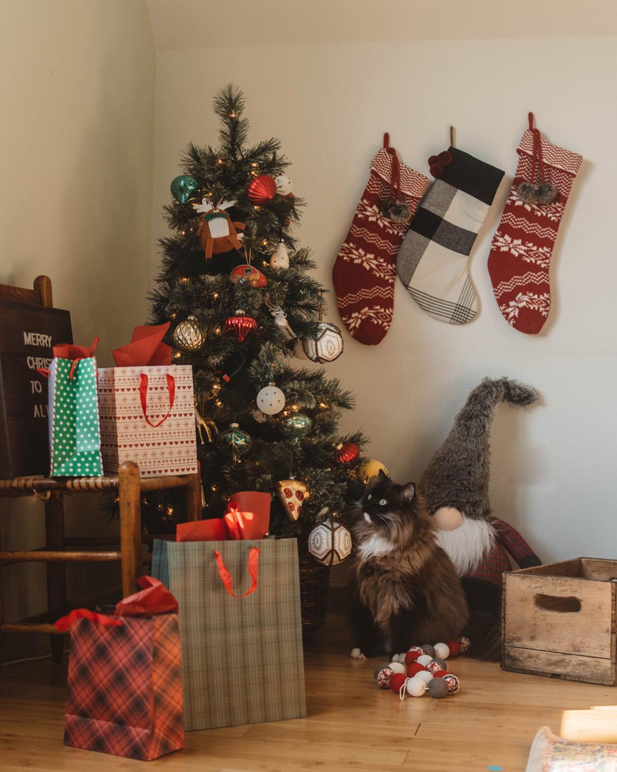 Cat sat by a christmas tree surrounded by presents and christmas stockings