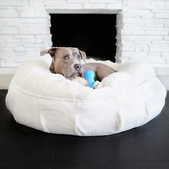 13 Best Products for Senior Dogs The Wildest