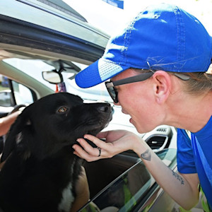 dog being saved by a human