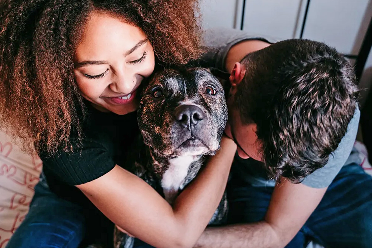 People hugging a dog