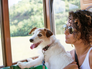 woman with sunglasses holding her Jack Russell dog as they look out the window