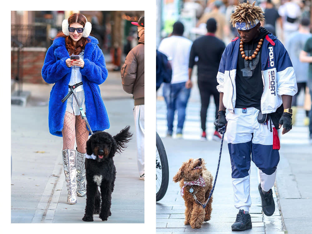 watching new york street style with dogs