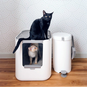 Two cats with ModKat litter box.
