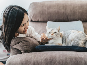 A woman petting her cat on the couch