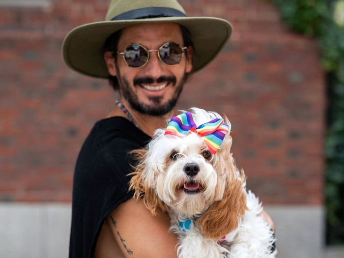 A pet parent holding their Cavapoo tan and white dog named Milo wearing a rainbow hairbow.