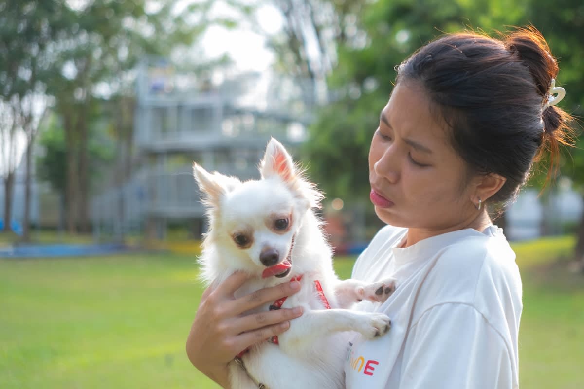 a woman looks at a little white dog in concern