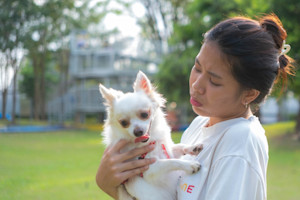 a woman looks at a little white dog in concern