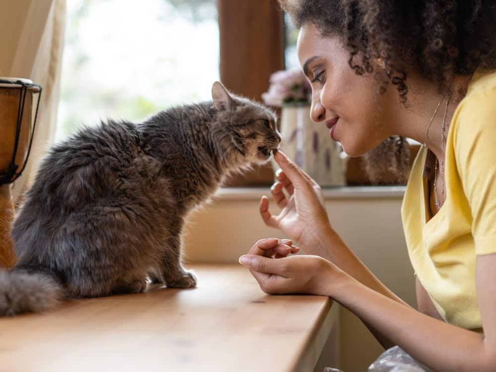woman feeding cat a treat