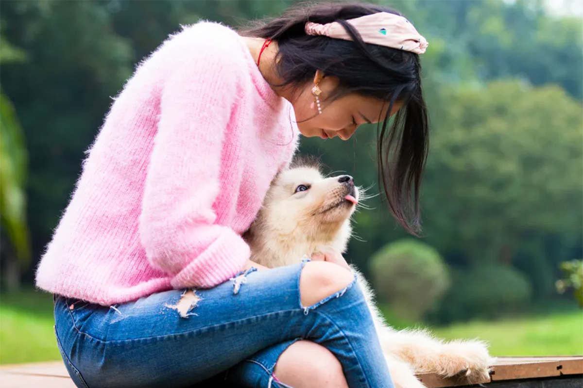 a woman in a pink sweater snuggles her white puppy on her lap