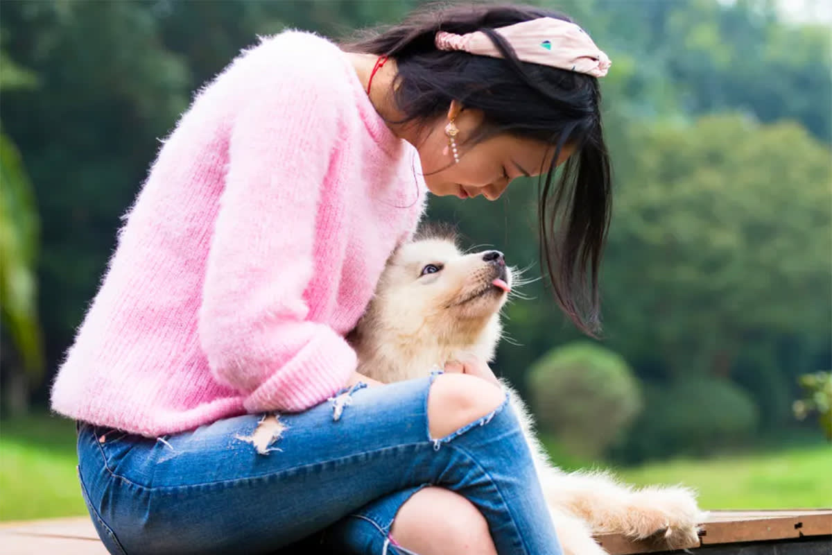 a woman in a pink sweater snuggles her white puppy on her lap