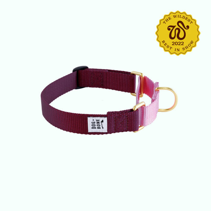 burgundy collar