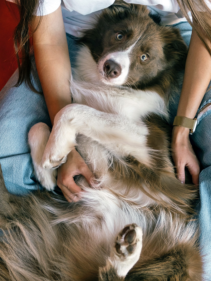 Woman petting her dog's belly.