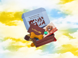 A brown and light blue cardboard mailer bod that reads "Pet parenting is wild. We're here to help." with a brown bone toy, a brown card reading "Kinship Picks," a whistle dog collar, and a Wisdom DNA test box sitting inside the mailer box.