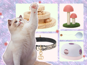 cat with wooden interactive toy, mushroom scratching post, collar, and toy