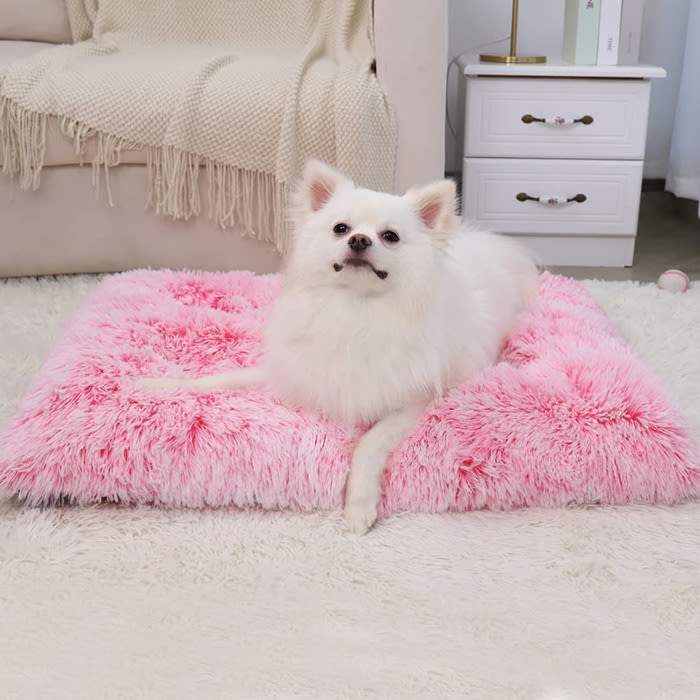 the pink dog bed