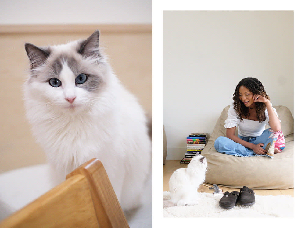 Leah Thomas's white cat; Leah Thomas on a chair looking at her white cat