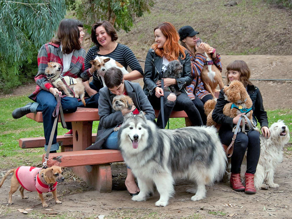 The Pet Groupies