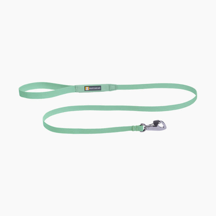 mint green leash