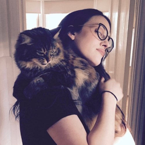 kat dennings cat millie