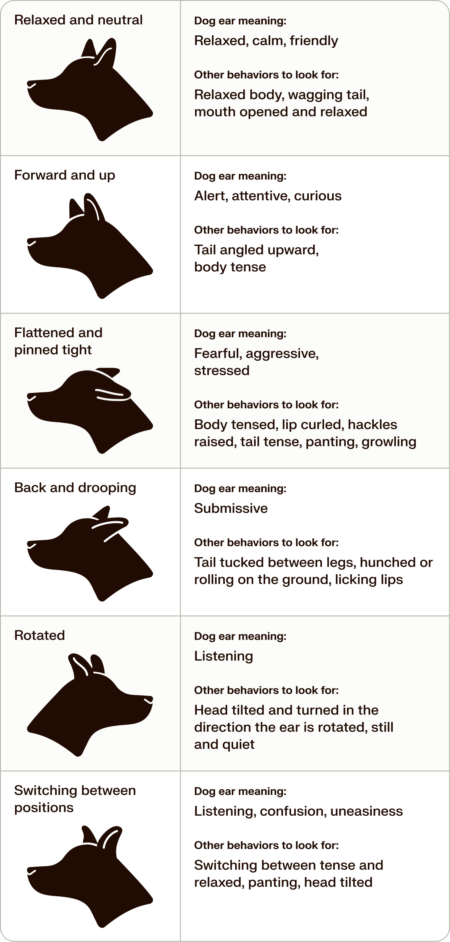dog ear position chart, with images of what dogs' ears look like, what body language means