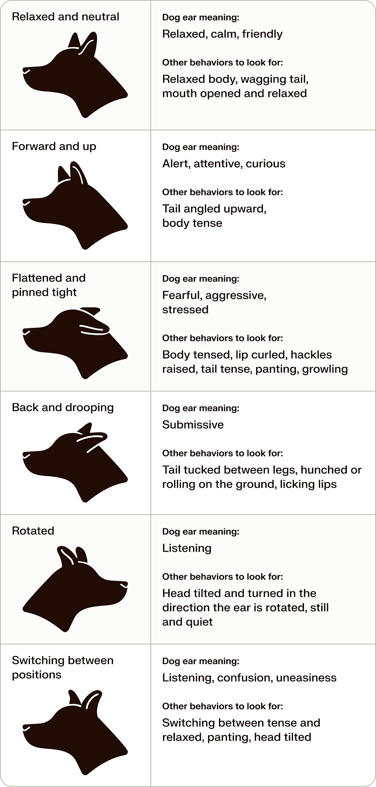 dog ear position chart, with images of what dogs' ears look like, what body language means