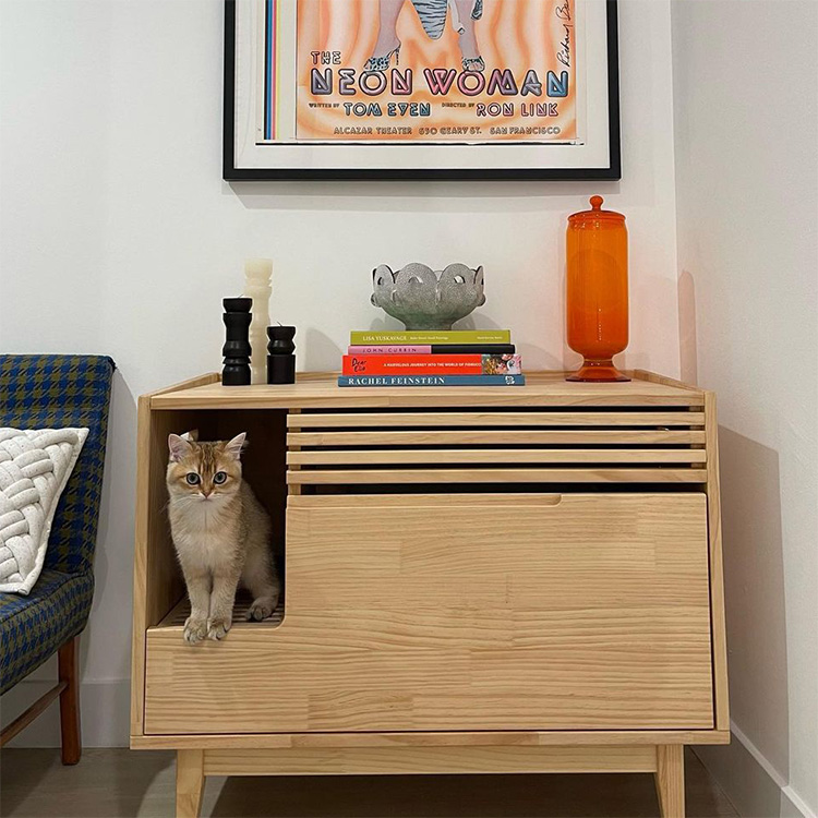 The Best Cat Litter Box Furniture of 2023