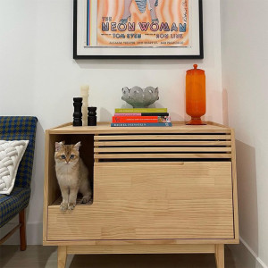 Small orange cat in wooden litter box.