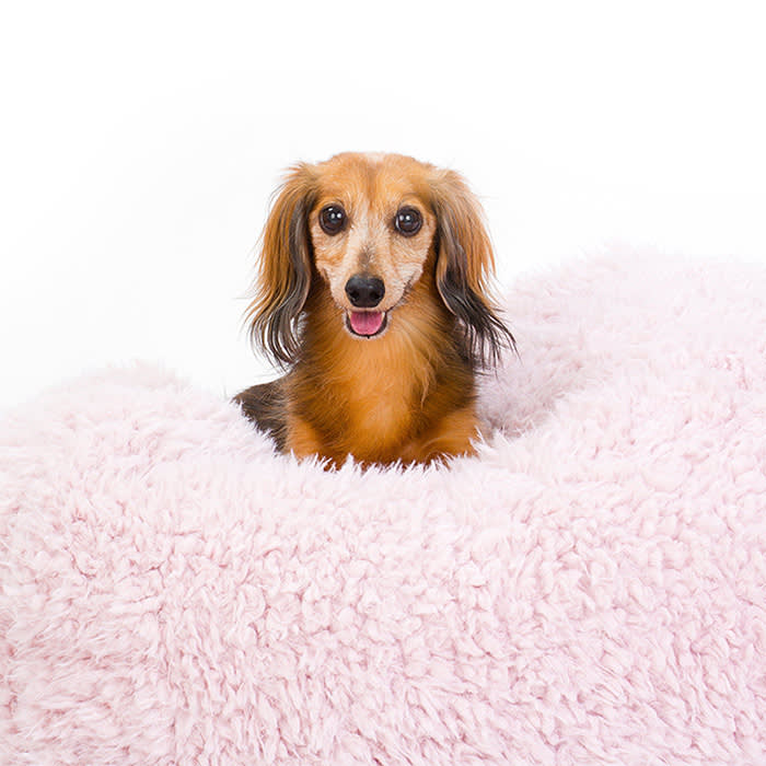 pink fuzzy dog bed  