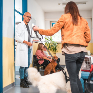 A woman in an orange cropped jacket walks her white dog toward a vet in a waiting room