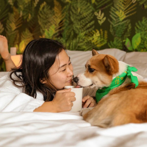A woman laying on a bed with her dog with green palm wallpaper in the background. 