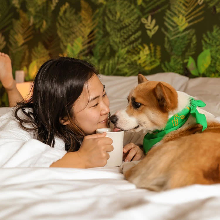 A woman laying on a bed with her dog with green palm wallpaper in the background. 