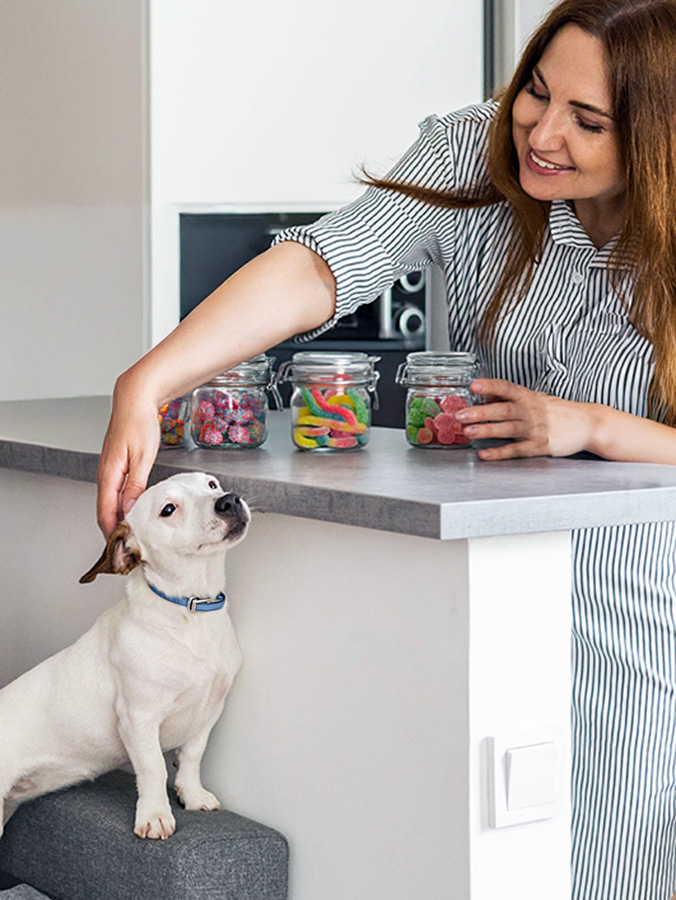 Woman organizing her jars of candy while dog watches at home.