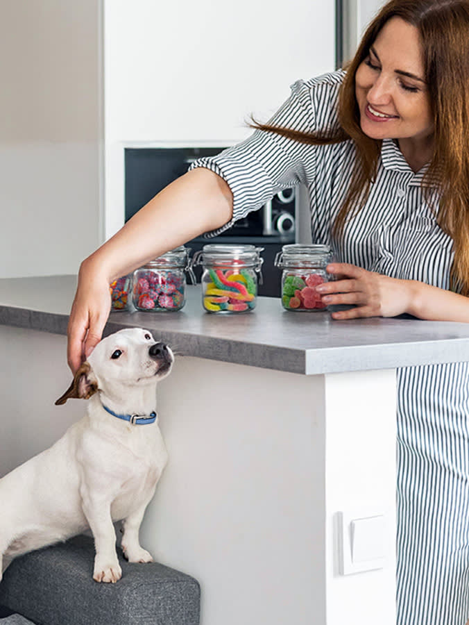 Woman organizing her jars of candy while dog watches at home.