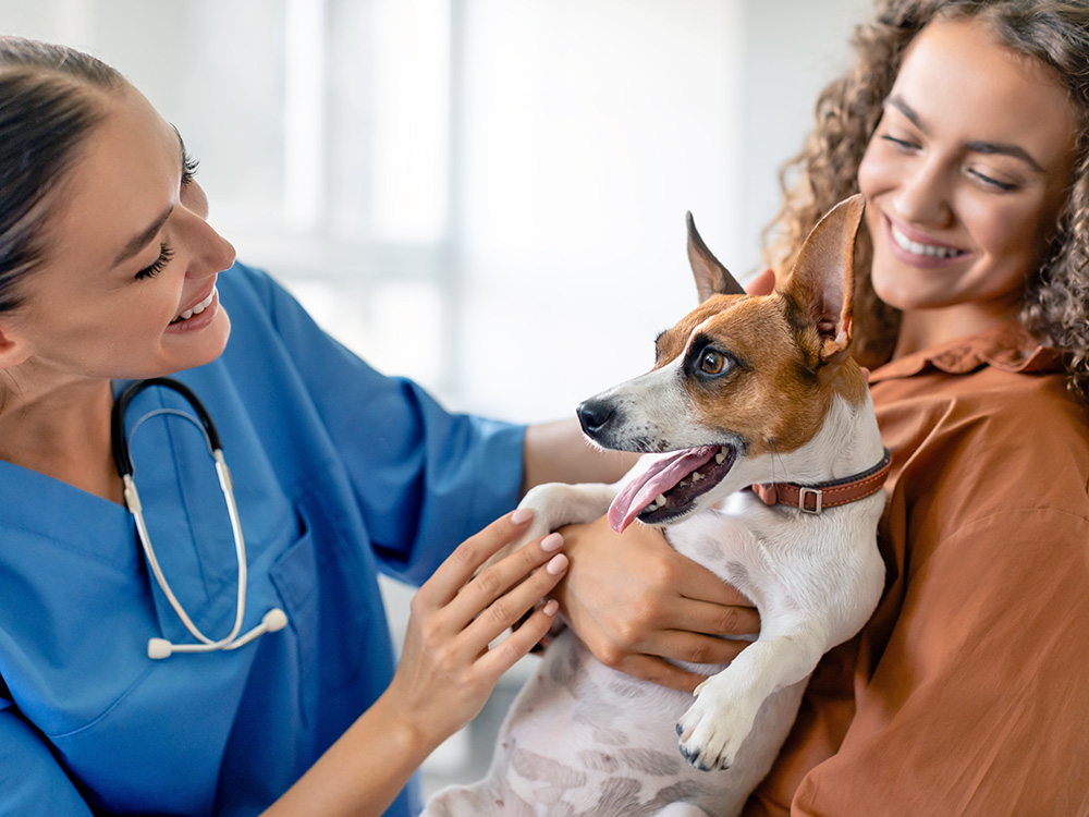 Woman taking her small dog to the vet.