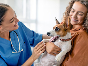 Woman taking her small dog to the vet.