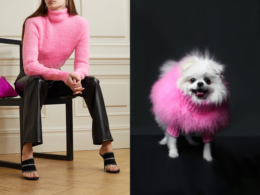 a woman in a pink turtleneck, a small white dog in a pink turtleneck 