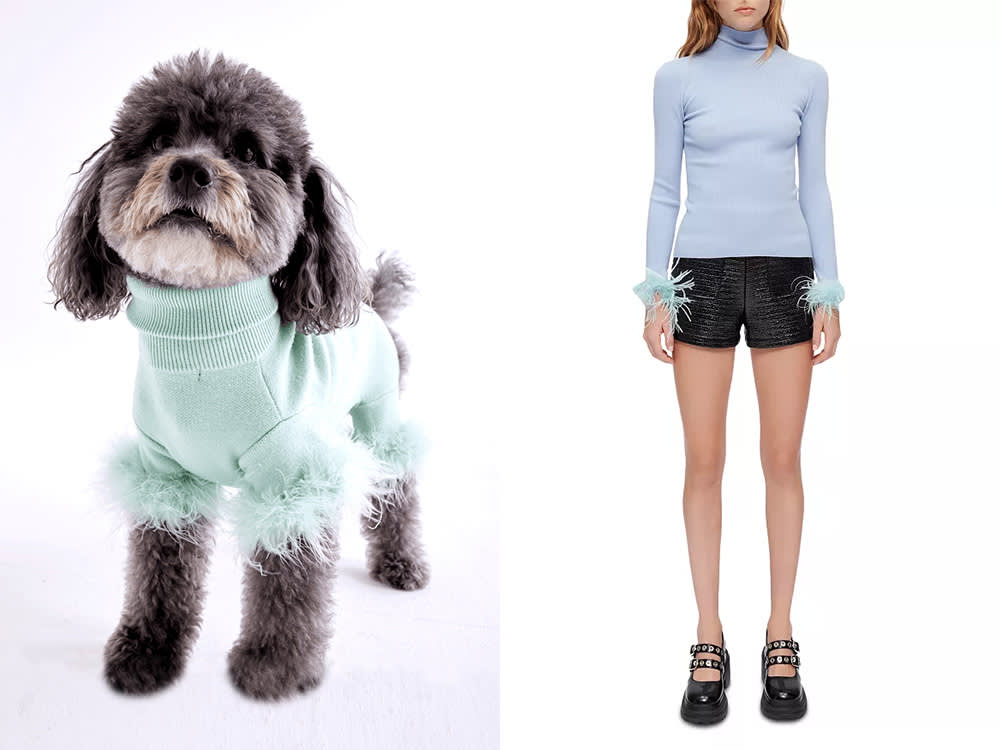 a woman in a blue turtleneck, a small black dog in a blue sweater 