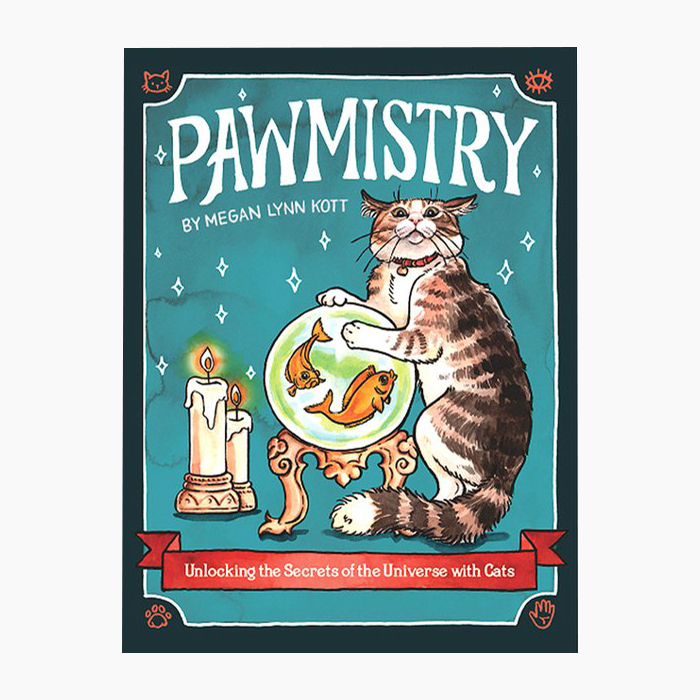 Pawmistry: Unlocking The Secrets Of The Universe book