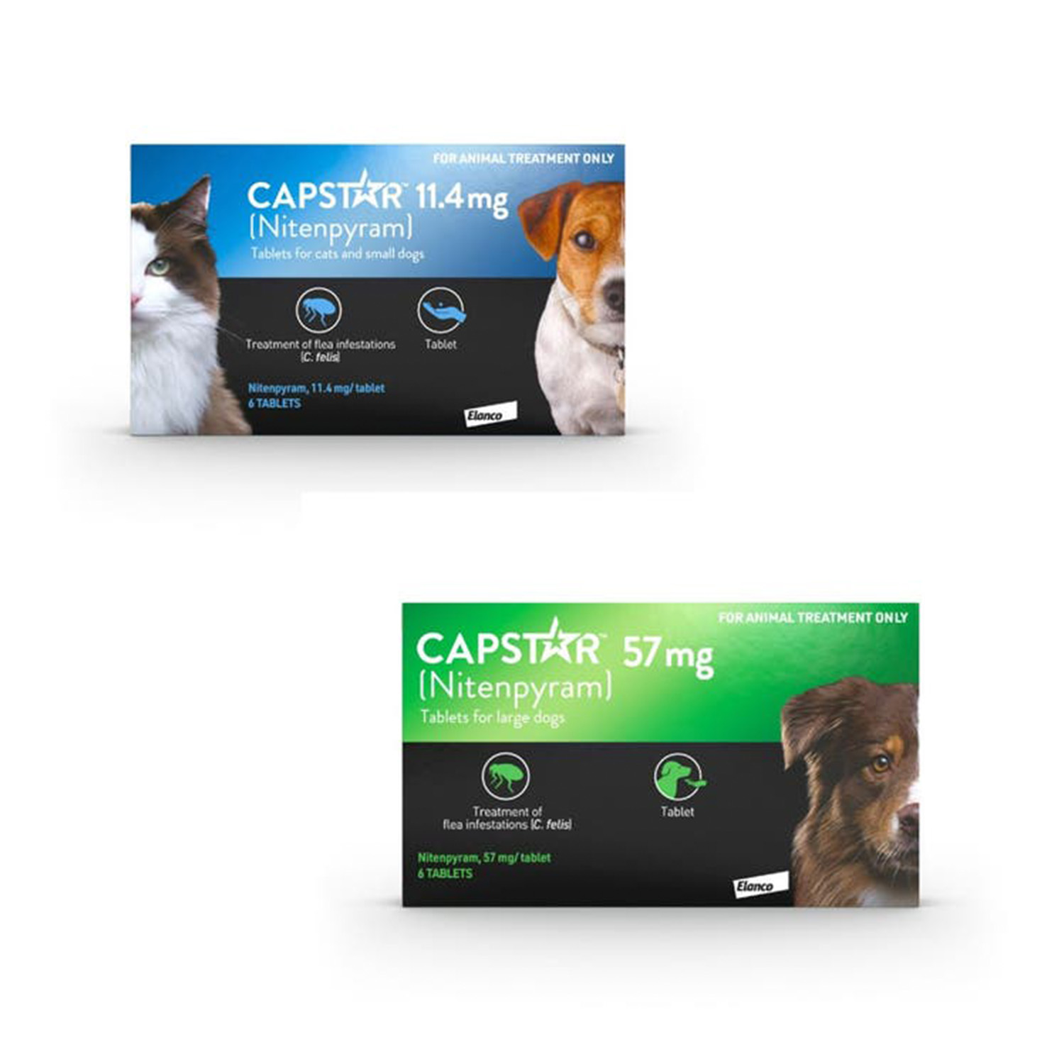 Capstar pet flea treatment