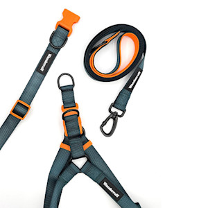 Norm Walk Kit from Wanderruff