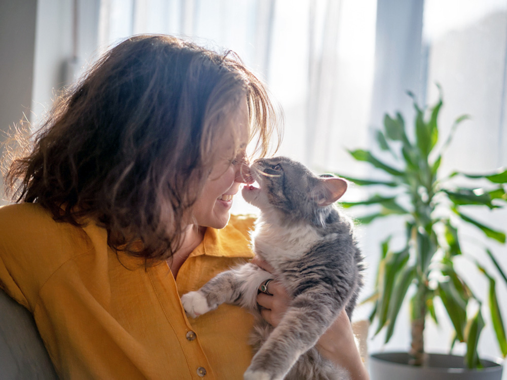 Cat biting woman's nose at home.