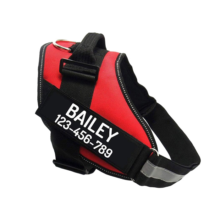 PawPawify Custom No Pull Dog Harness