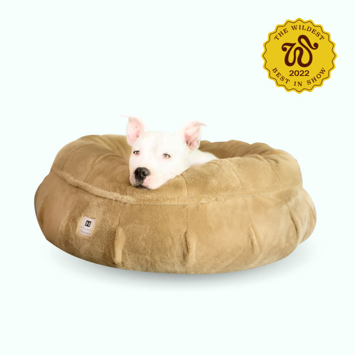 white luxury dog bed