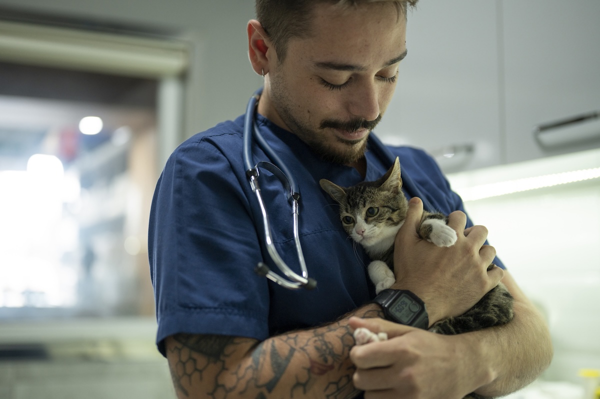 a picture of a young male vet cradling a tabby kitten in his arms 