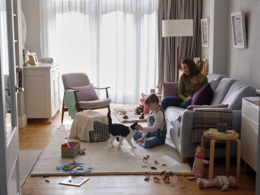 A little girl on the floor of her living room with a cat who has just come out of a cat carrier. A woman sits on the sofa behind her smiling.