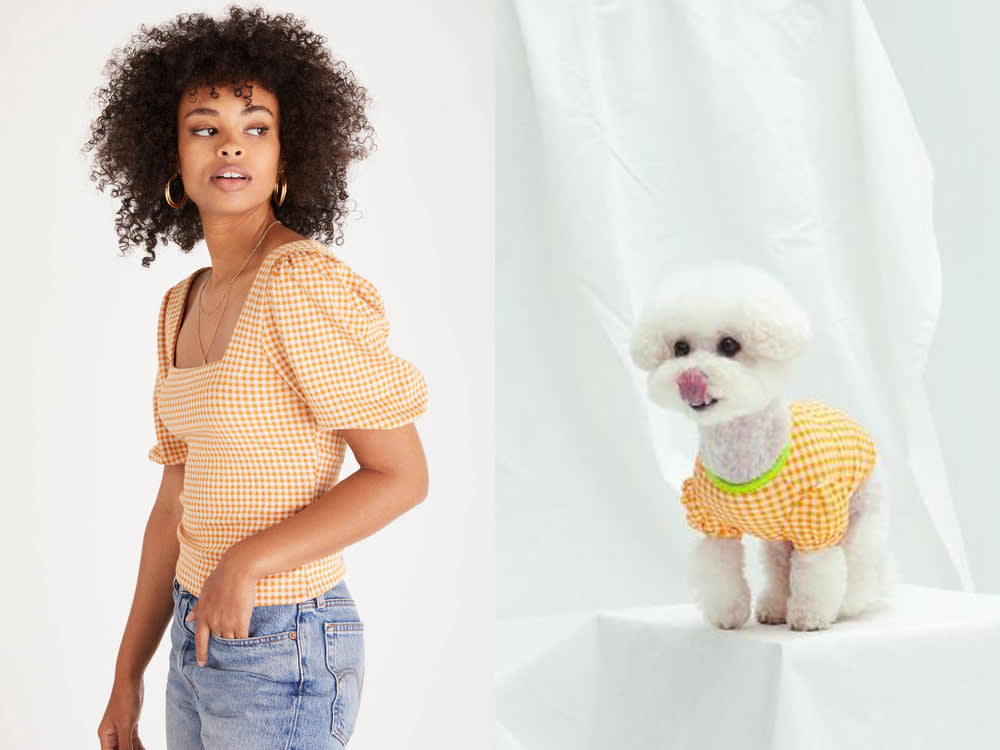 a woman in a yellow top, a small white dog in a yellow top