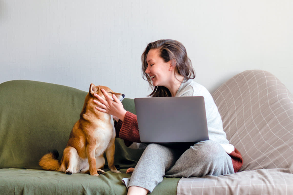 person petting a dog