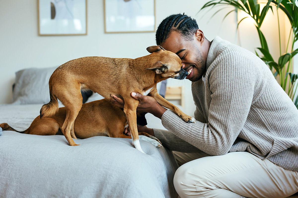 person kissing a dog