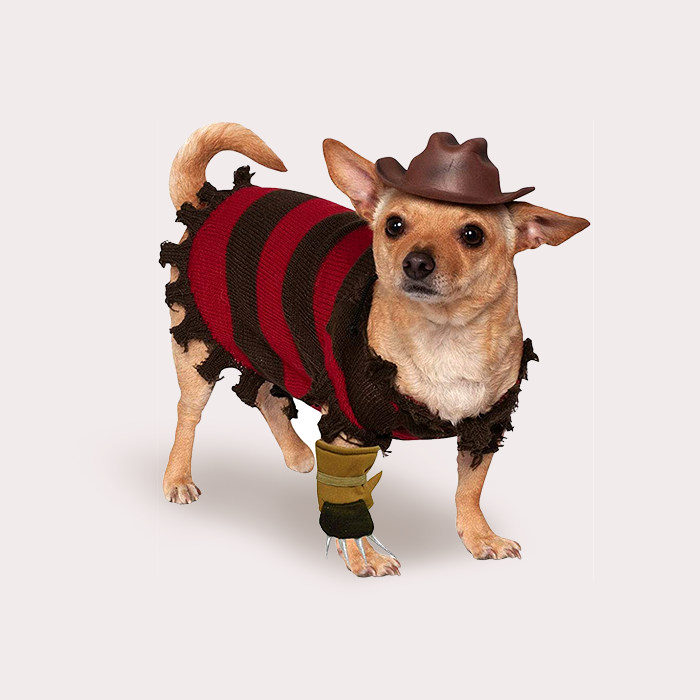 Freddy Krueger costume for dogs